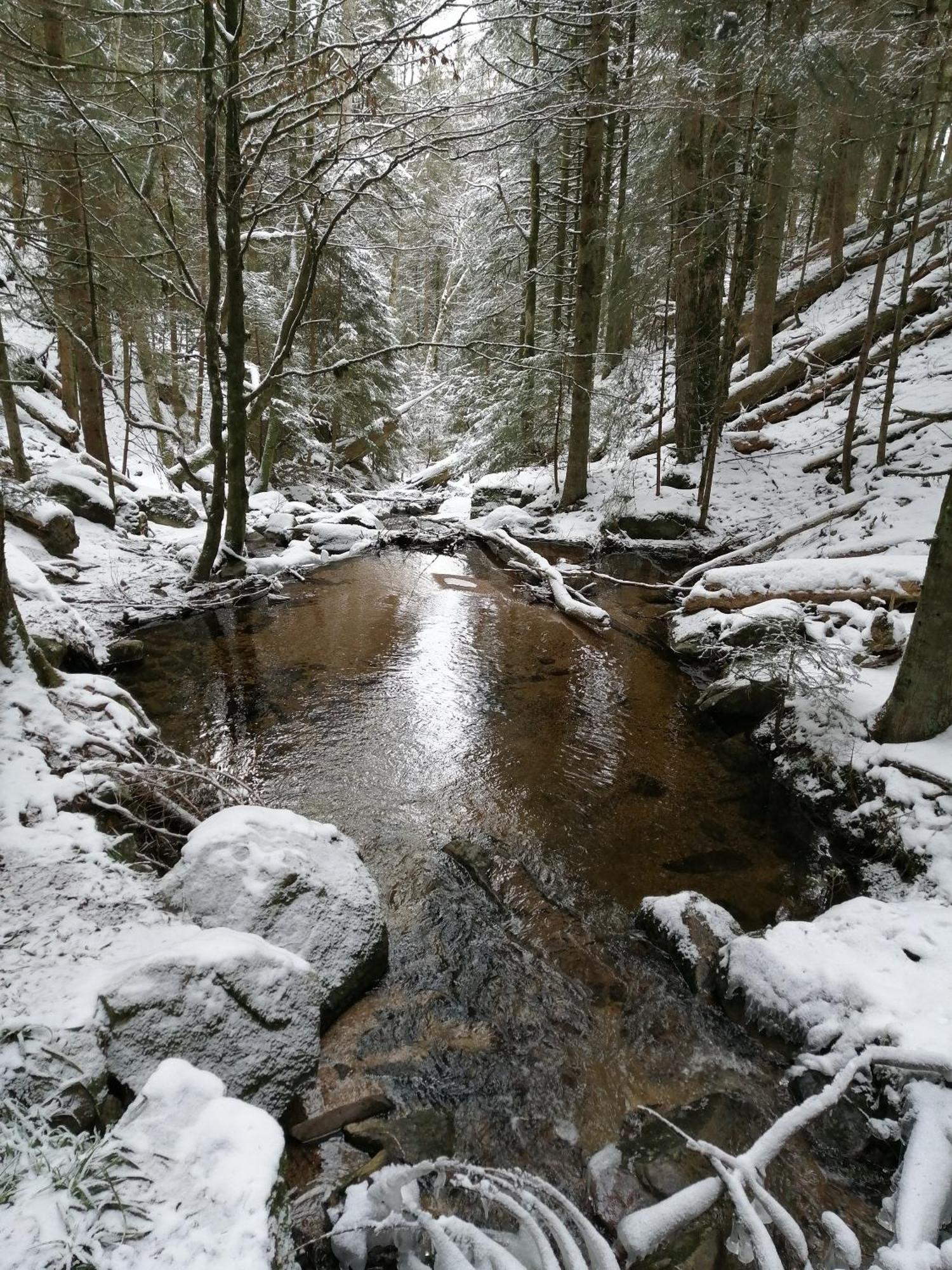 Blackforest Perla Hoechenschwand Exterior photo
